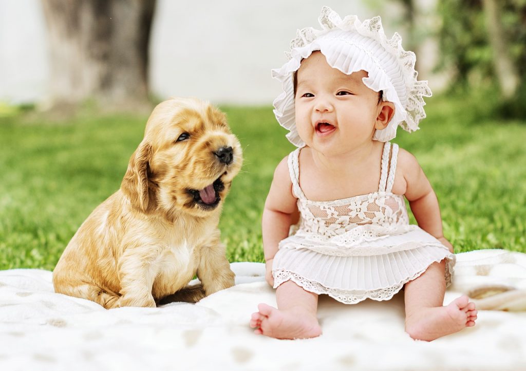 Adopter un chien et naissance d'un bébé