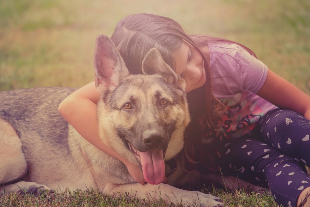 Chiens avec enfants