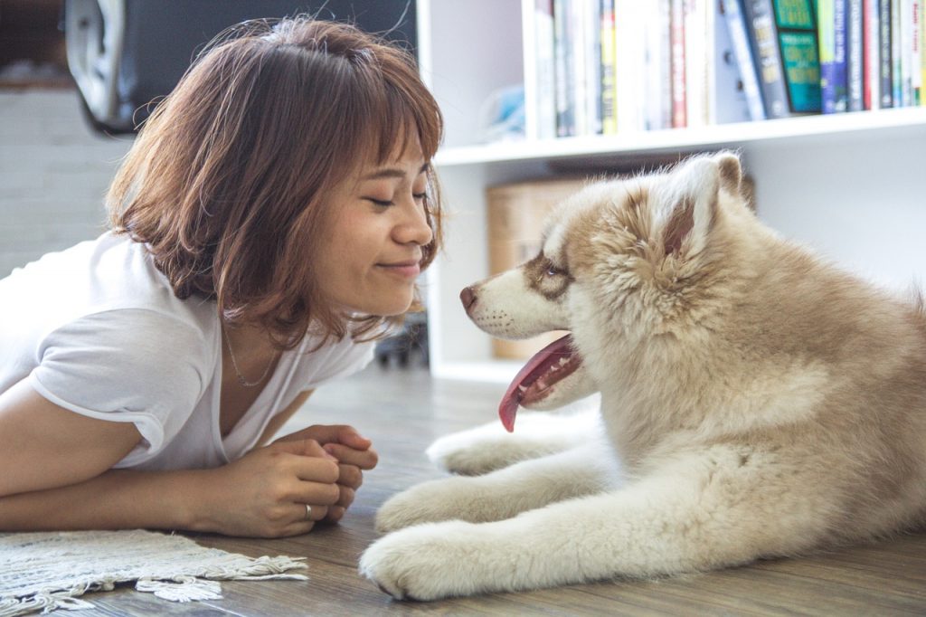 Les avantages d'avoir un chien