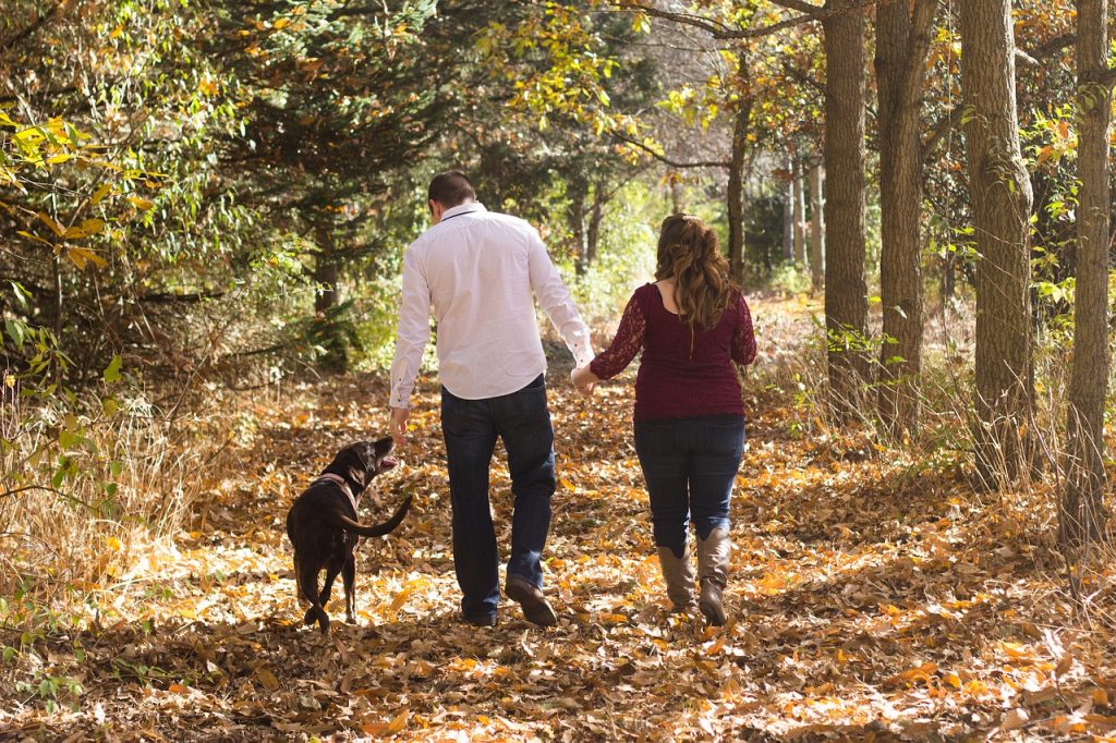 Les bienfaits d'avoir un chien