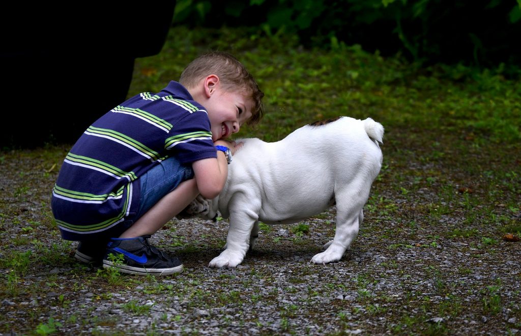 Les bienfaits d'un chien