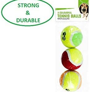 Balles de tennis solides pour chien
