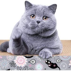 Griffoir en carton ondulé pour chat avec herbe à chat