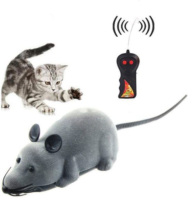 Jouet pour chat souris bruit avec télécommande sans fil