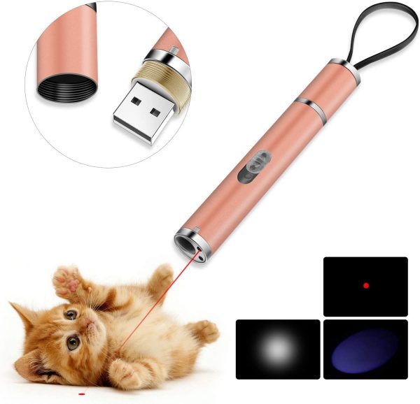 Jouet pour chat USB lumière LED 3 en 1