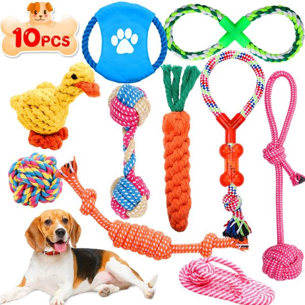 Lot de 10 jouets pour chien et chiot corde de dentition